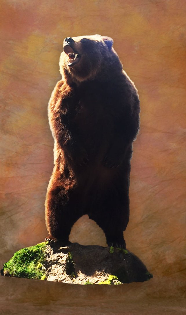 Life-size bear mount standing upright on a mossy rock base