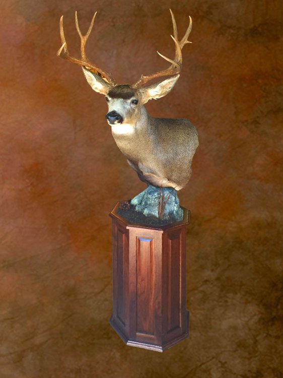 Mule deer pedestal mount on a wooden column